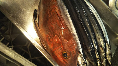 Spanish Cafe & Restaurant Nemo 사진 4