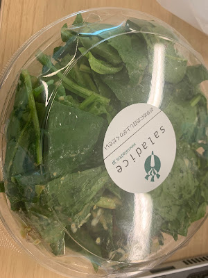 Saladice 사진 3