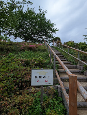 Buiroku Tree 사진 4