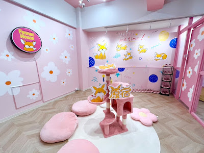 FennecHouse 原宿店 사진 2