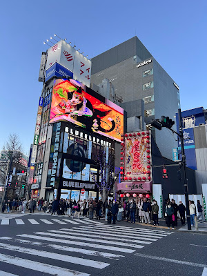 The Giant 3D Cat 사진 3