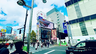 The Giant 3D Cat 사진 2