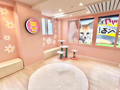 FennecHouse 新大久保店 사진 3