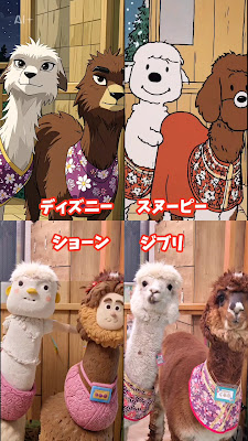 Alpaca fureai land 사진 3