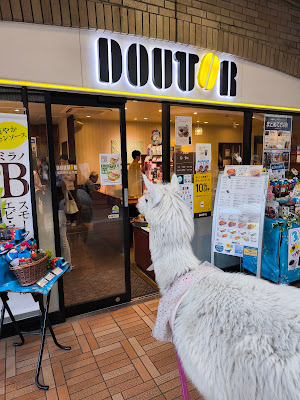 Alpaca fureai land 사진 2