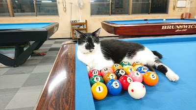 Rookie Billiards 사진 3