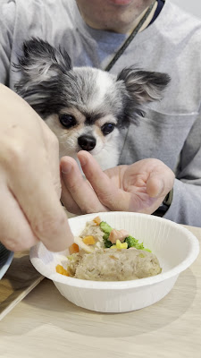 dog cafe and bar 「＋one」 사진 3