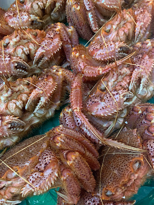 季節料理喜多川 사진 3