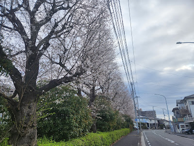 Higashiyamata Nichome Chonai Hall 사진 2