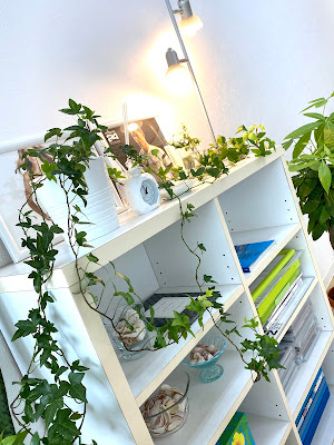 The Wellness 사진 5