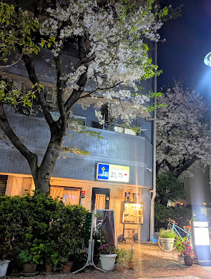 Yoshino 사진 3