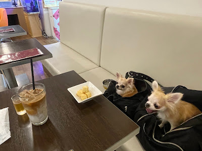 Cafe 사진 3