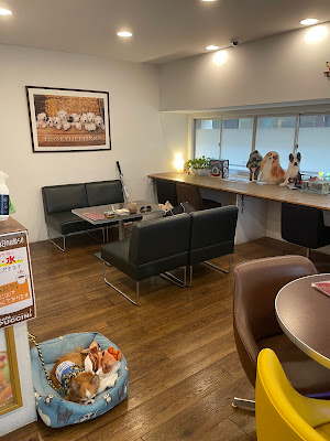 Cafe 사진 5