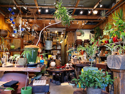 FROG Pit Cafe 사진 3