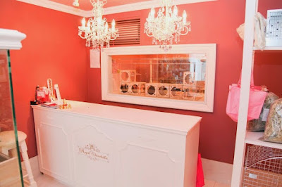Royal Chinchilla 사진 3