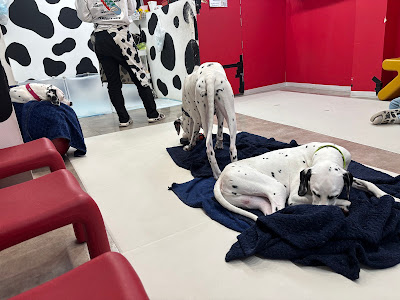 DALMATIAN CAFE 101 사진 4