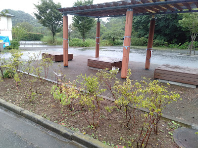 初山広場 사진 3