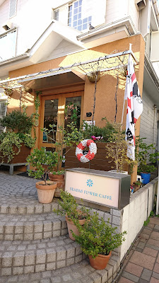 Seadas Flower Caffe 사진 2