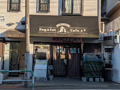 Dog & Cat Cafe 사진 2