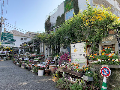 Flower Plants Cafe Jiyugaoka 사진 4