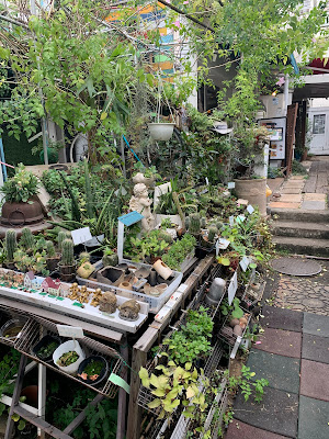 Flower Plants Cafe Jiyugaoka 사진 5