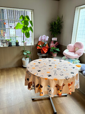 🐾わんことご飯 LUNAFLOWERS 사진 5
