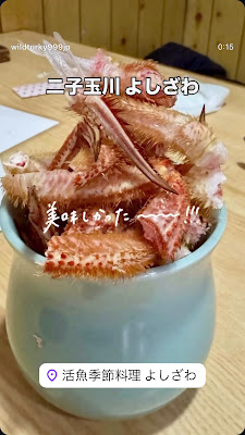 요시자와 사진 2