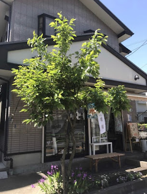 ゆらり 사진 3