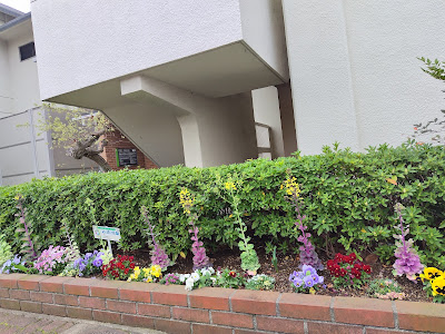 Setagaya Kuritsu Unanechiku Hall 사진 3
