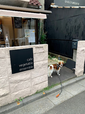 cafe vegetable ensemble 사진 2