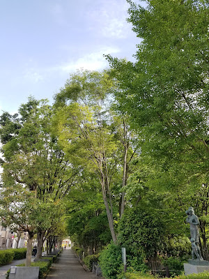 Meguro Citizens Campus 사진 5