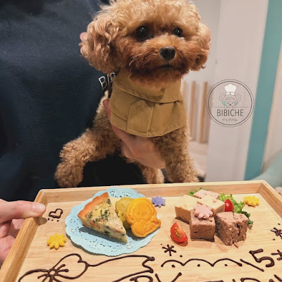 ドッグ バル BIBICHE （ビビバル） 사진 4