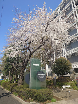 NHK Hosogijutsu Research Institute 사진 4