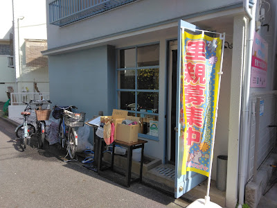 299cafe 사진 2