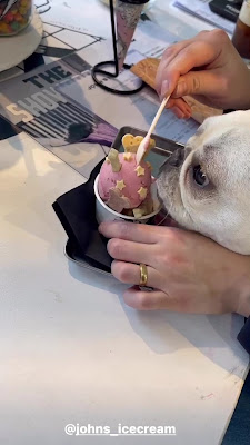 JOHN’S ICE CREAM 사진 3