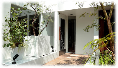Shirokane Chez Tomo Natural Cuisine 사진 4