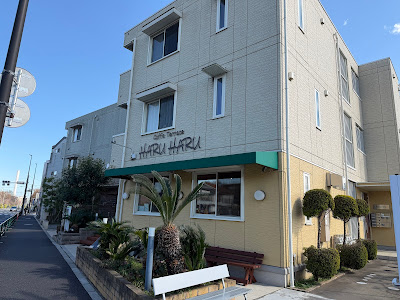 Caffe Terrace Haru Haru 사진 4