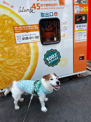 IJOOZ オレンジジュース生搾り自販機 사진 2