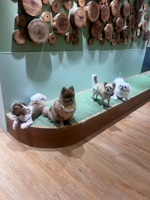 RIO Puppy Cafe 사진 3