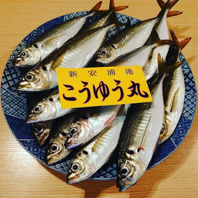 Yuuga 사진 2