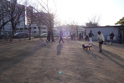 新左近川親水公園ドッグラン 사진 2