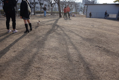 新左近川親水公園ドッグラン 사진 5