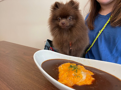 ドッグカフェApricot 사진 5