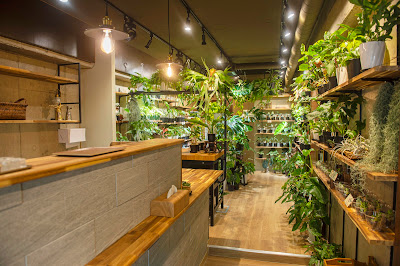 カフェHATASU葛西店【テイクアウトカフェ専門】 사진 4