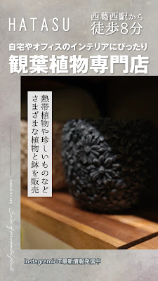 HATASU葛西店 사진 2