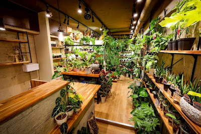 HATASU葛西店 사진 3