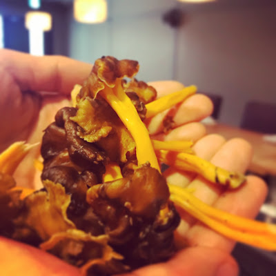 Les Chanterelles 사진 3