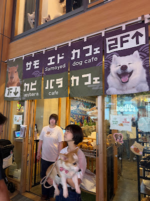 capybaraonsen moffu tokyo 사진 3