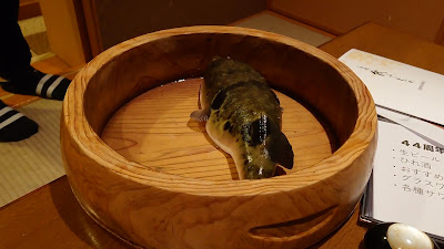 Koshiji 사진 2