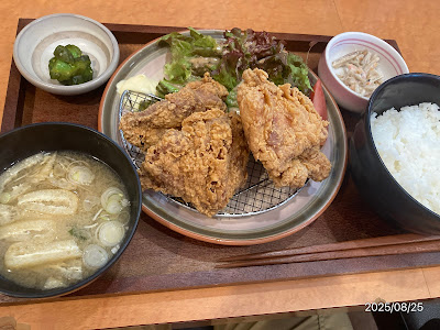 居食処こたつ 사진 4